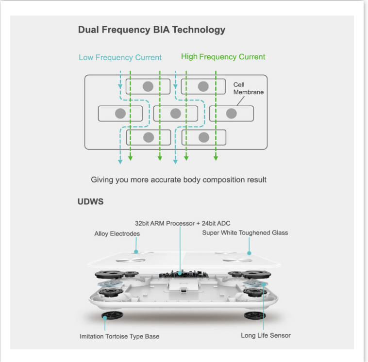 BCA-130 Bluetooth Smart Scale - NutriAura